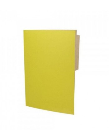 -Carpeta Pigmentada Color Amarillo | DColon
