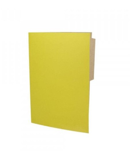 -Carpeta Pigmentada Color Amarillo | DColon