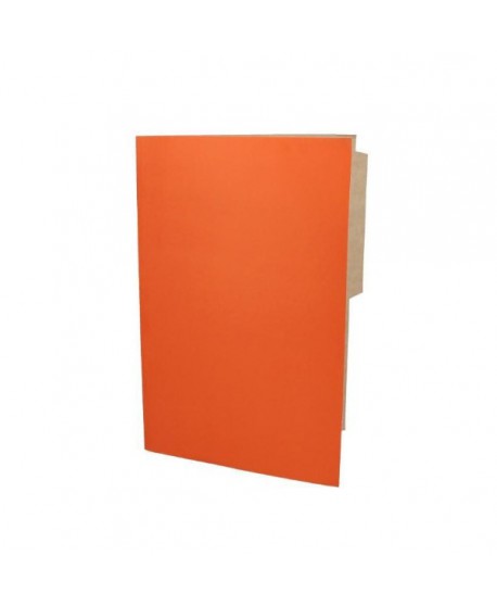 -Carpeta Pigmentada Color Naranjo | DColon