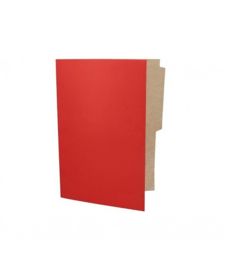 -Carpeta Pigmentada Color Rojo | DColon