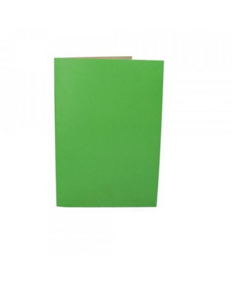-Carpeta Pigmentada Color Verde Claro | DColon