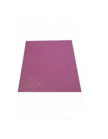 -Carpeta Plastificada Lila | DColon