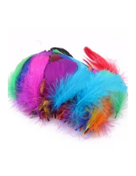 Set Plumas Col. Surtidos 2.5 grs. Manualidades 400008 | DColon
