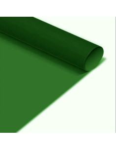 Cartulina Color Verde Oscuro 55x77cm | DColon 